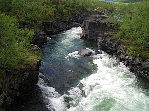 Abisko Juni 2009 dag 4 - 02.jpg